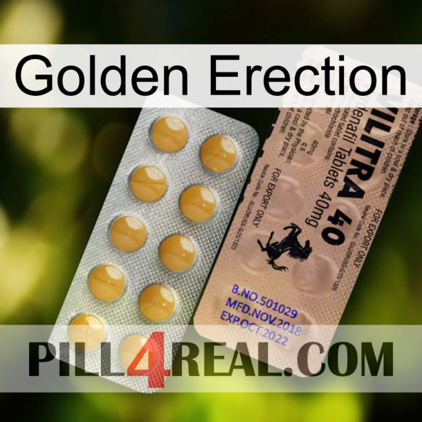 Golden Erection 41.jpg